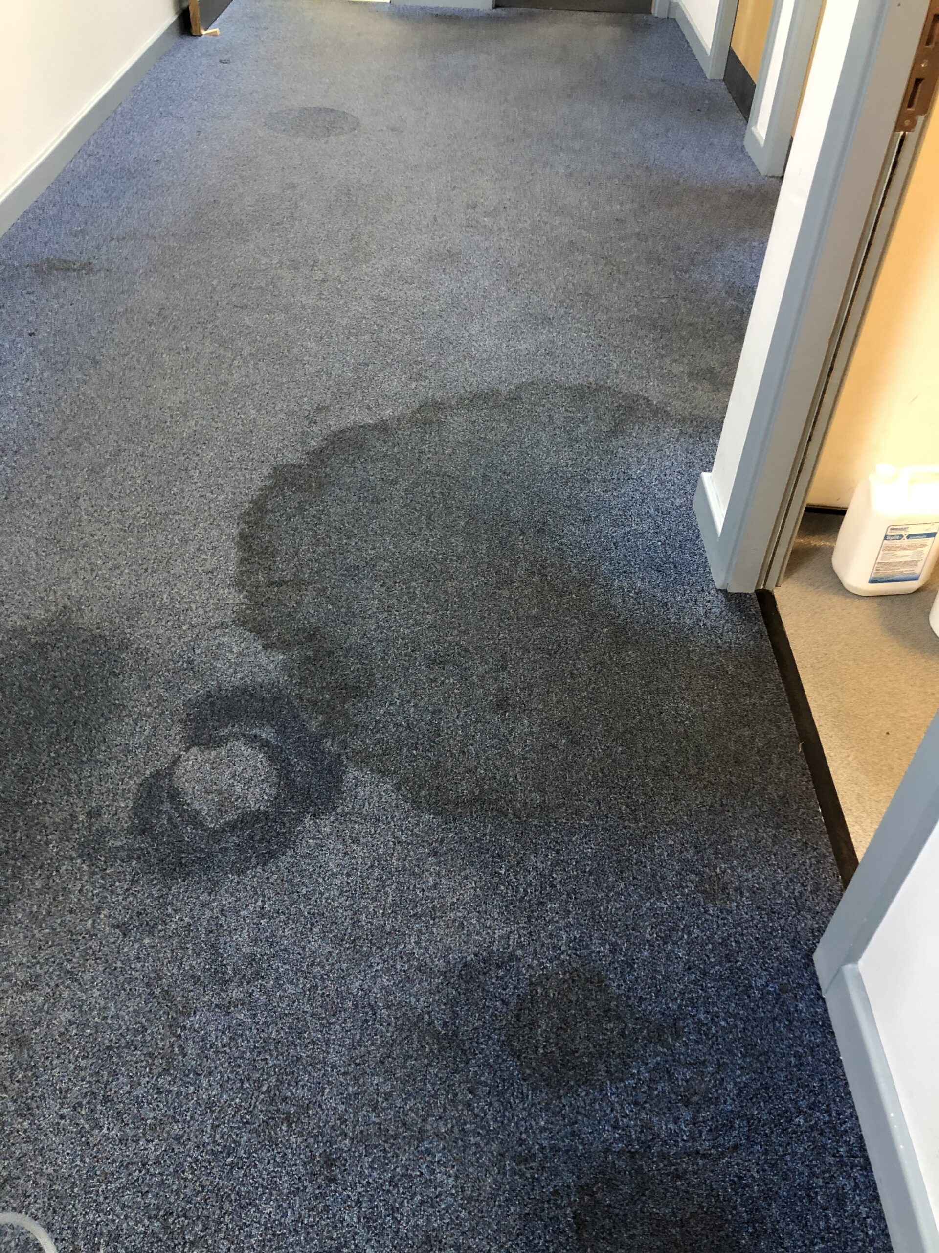 Commercial carpet restoration before cleaning