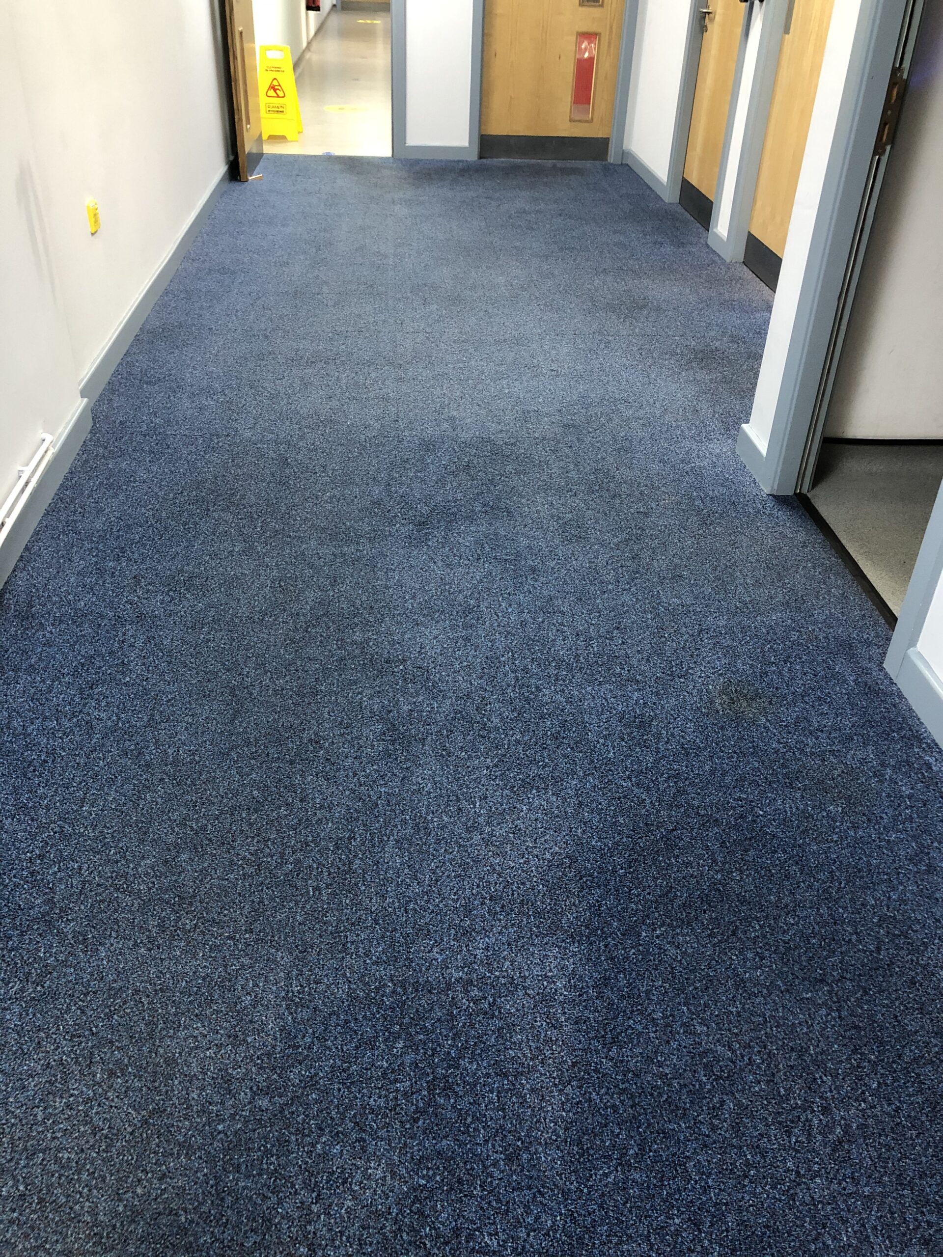 Commercial carpet restoration after cleaning
